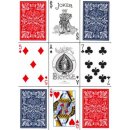 Bicycle Vintage Safety Back