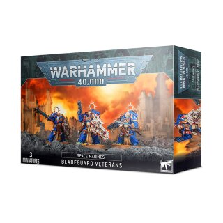 Warhammer 40.000 Space Marines Bladeguard Veterans
