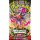 Pokémon: Optimale Ordnung Booster Pack