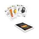 Exploding Kittens Party Pack